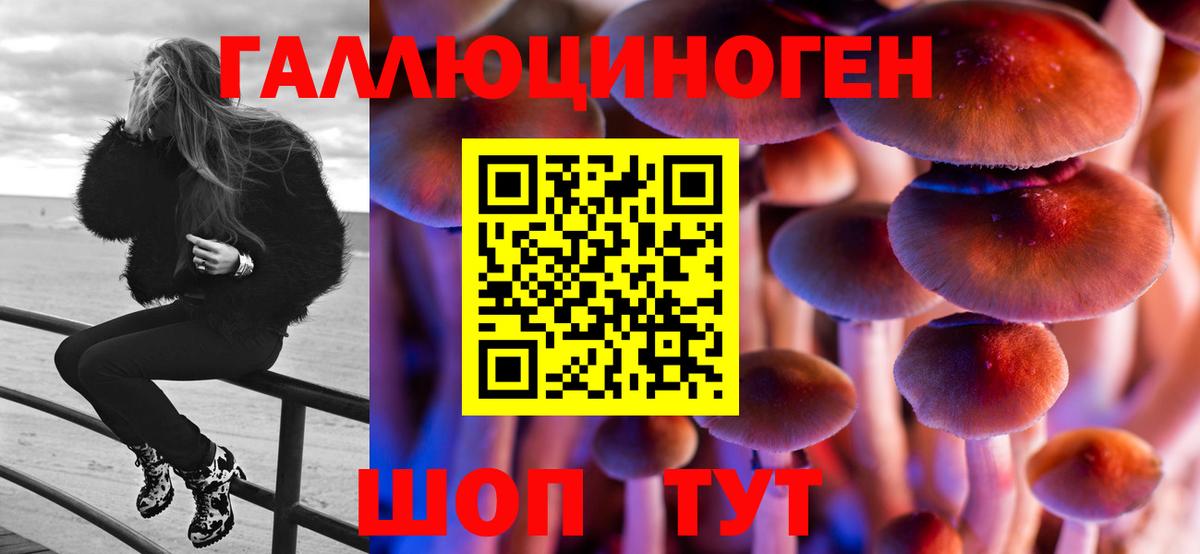 Псилоцибиновые грибы мицелий  Галлюциногенные грибы Psilocybe  Вход с VPN  купить закладку  Кирово-Чепецк 