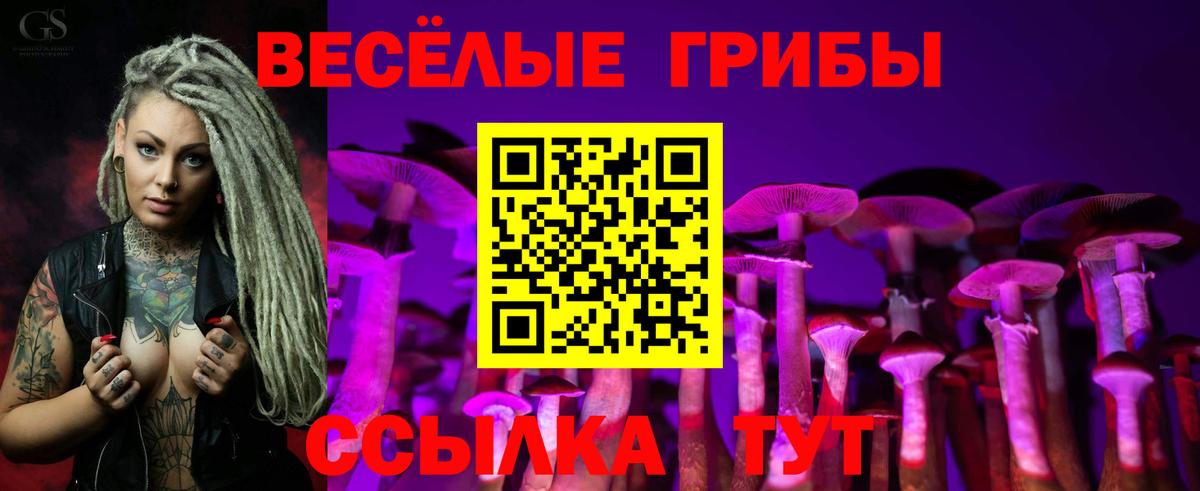 Галлюциногенные грибы прущие грибы Кирово-Чепецк